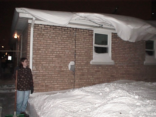 Blizzard1.jpg (167768 bytes)