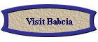 Visit Babcia